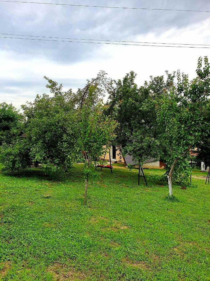 Apartmani Radakovic Vrdnik Dış mekan fotoğraf